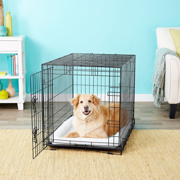 Fold & Carry Single Door Dog Crate, 36-in - Chewy.com