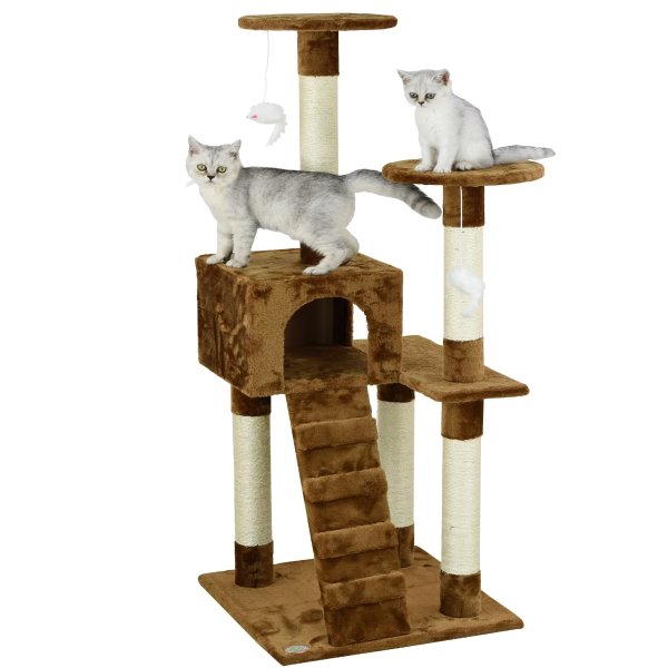 Brown 52" Cat Tree Condo with Ladder