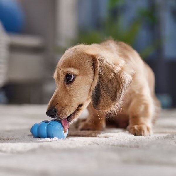 Puppy Chew Dog Toy
