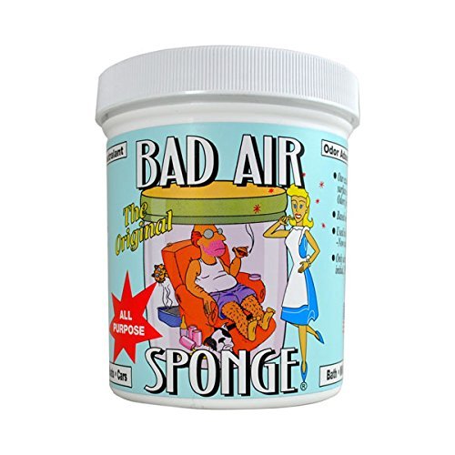 Bad Air Sponge 除臭海绵2罐装，14oz