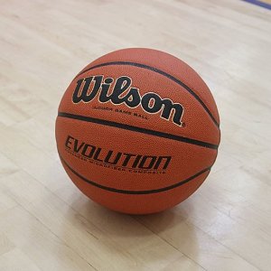 Wilson Evolution室内用篮球促销