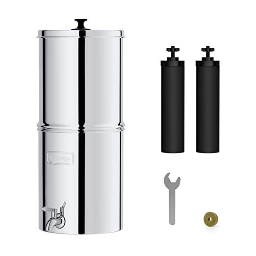 Gravity-fed Water Filter System, Reduces up to 99% of Chlorine&Bad Taste, 2.25-Gallon Stainless-Steel Countertop System with 2 Filters and Metal Spigot, King Tank Series, WD-TK-A