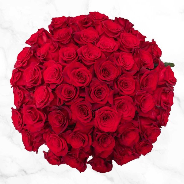 Valentine's Day Pre-Order 50-stem Red Roses