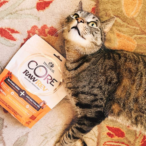 Wellness 宠物干粮 湿粮 零食等促销首次订阅7折 额外9 5折 北美省钱快报