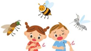 美国常见蚊虫叮咬全解|床虫/蜱虫/恙螨/蜜蜂/红火蚁/蚊子/蜘蛛等，怎么区分被哪种蚊虫叮咬？被叮咬后有何症状、如何处理？