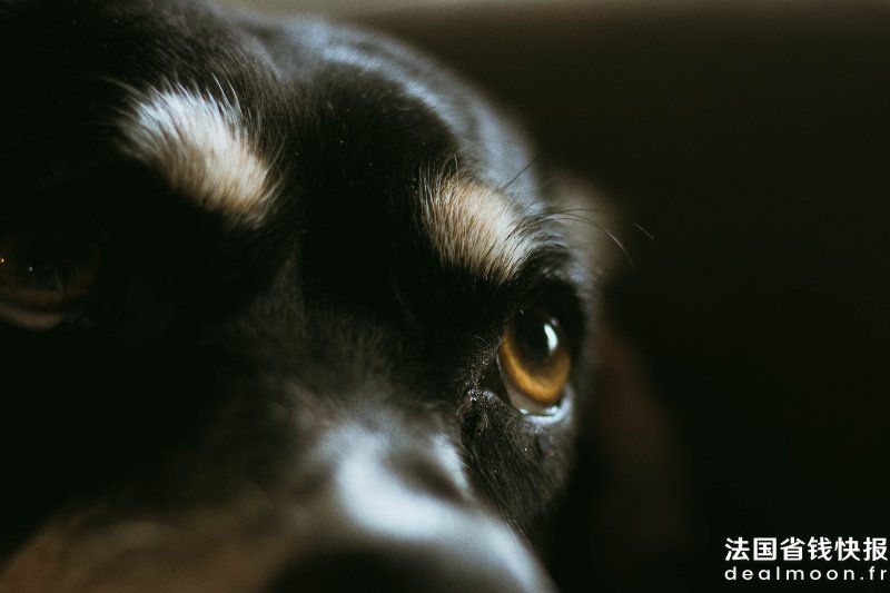 jacob-sedlacek-krhOWdichMI-unsplash