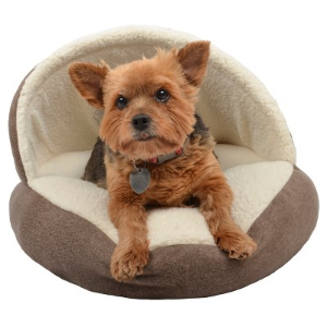 Coming Soon: Boots & Barkley Pet Bed on Sale