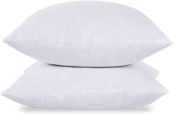 20X20-95% Feather 5% Down Square Pillow Insert-Pack of 2