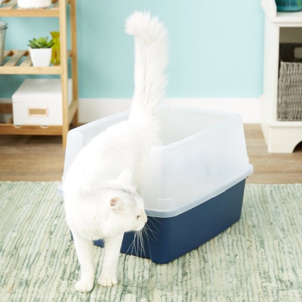 Open Top Litter Box with Shield & Scoop, Navy - Chewy.com