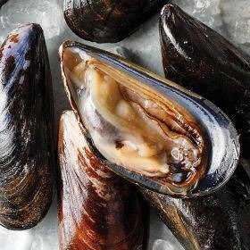 1 (2 lbs. pkg.) Live Prince Edward Island Mussels
