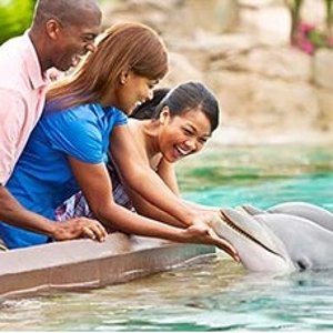Buy a Day, Get a Day Free!SeaWorld Orlando Ticket Sale