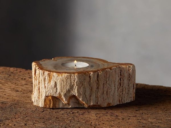Petrified Wood Tealight Holder | Arhaus Furniture
