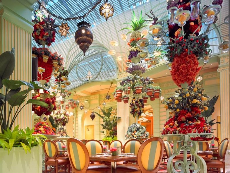 wynn2
