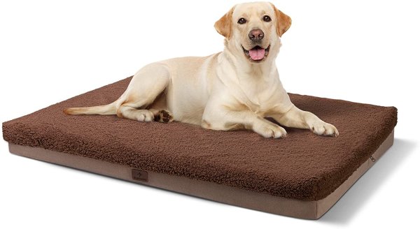 Orthopedic Big Dog Bed for Large and Old Dogs, Dog Bed with Removable and Water-Resistant Cover, Non-Slip Bottom