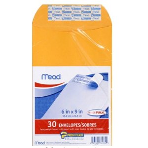 Mead Press-It Seal-It 6X9 Envelopes, Office Pack 30 Count (76084)