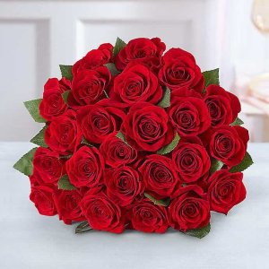 Red Roses Buy 12, Get 12 Free