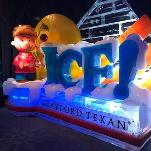 Dallas Gaylord Hotels ICE! Exhibition Limited Time Sale