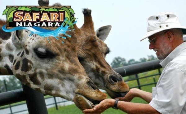 safari-niagara-1997362-3567722-regular.jpg