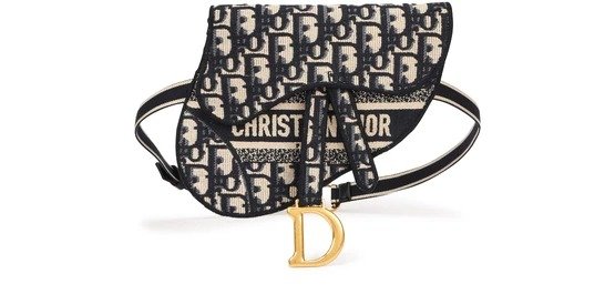 Saddle Dior Oblique canvas belt bag