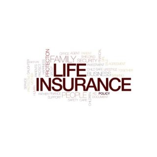 美南保险吴美美 - Catherine Change-In-Town Insurance Services Inc. - 休斯顿 - Houston