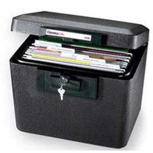 SentrySafe 0.61-Cubic-Foot Fireproof Security File