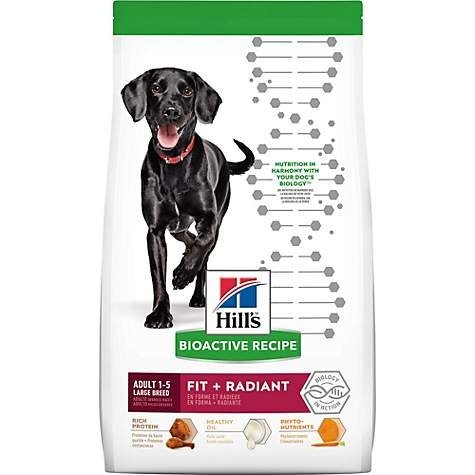 Bioactive Recipe Fit + Radiant Chicken & Barley Adult Large Breed Dry Dog Food, 22.5 lbs. | Petco