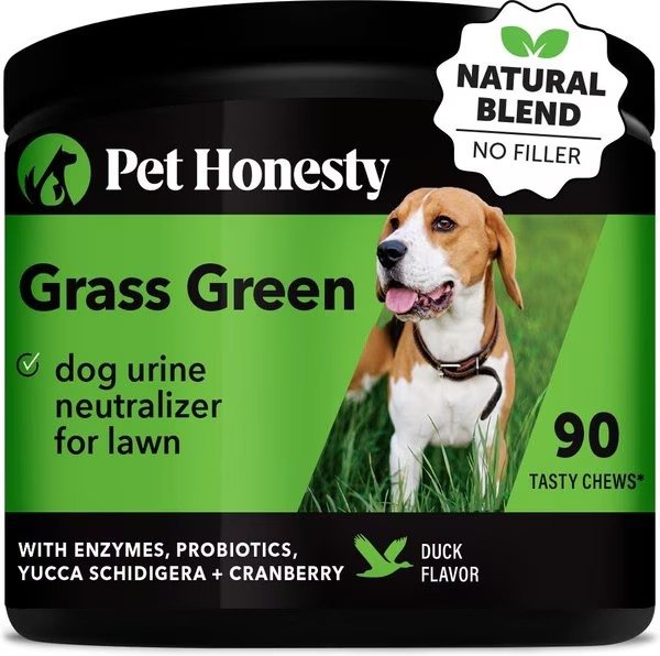 PETHONESTY GrassGreen Snacks Cranberry Extract with Probiotics Soft Chews Dog Supplement, 90 count - Chewy.com