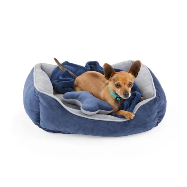 EveryYay Essentials Navy Snooze Fest Dog Bed Bundle, 22" L X 18" W | Petco