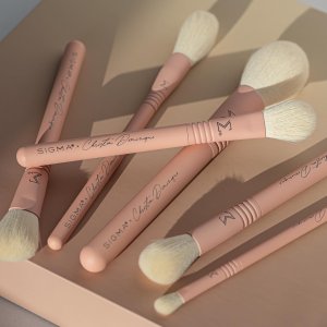 Sigma Beauty Brush Set Hot Sale