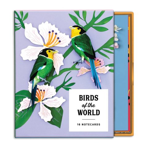 鸟的世界 问候卡16张，8种图案
