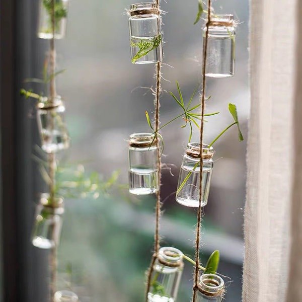 Hanging Glass Bottles from Apollo Box