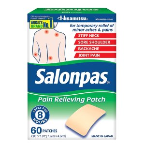 Salonpas Pain Relieving Patches, Pack of 60