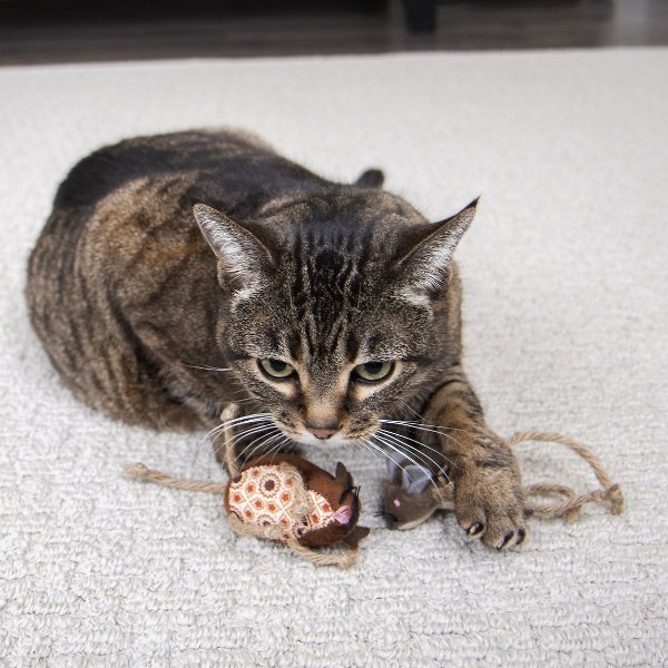 猫咪玩具2件套