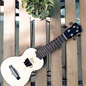 Mini Ukulele, Cute Hawaiian Small Guitar for Beginner Include Gig Bag