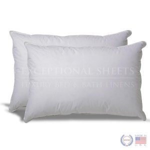 Set of 2 Down Alternative Hypoallergenic Pillow, Queen