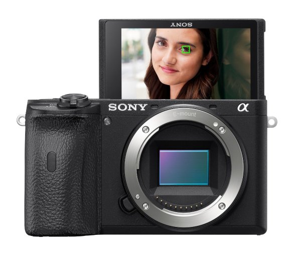 Alpha a6600 APS-C Mirrorless Camera (Body Only)