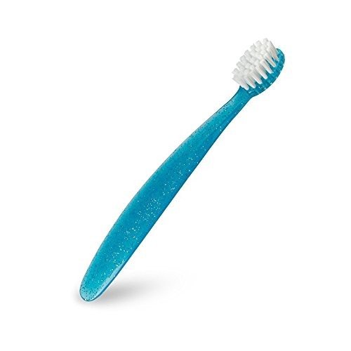 Radius Totz Toothbrush -- 6 per case