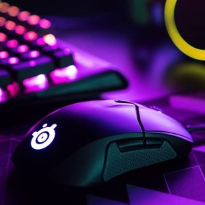 Best Gaming Mouse In 2018: SteelSeries Sensei/Rival 310