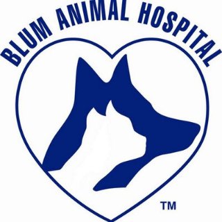 Blum Animal Hospital - 芝加哥 - Chicago
