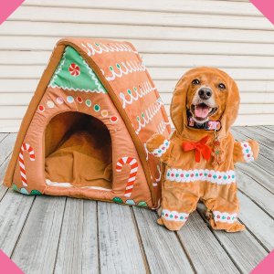 Petco Merry Makings Holiday Items on Sale