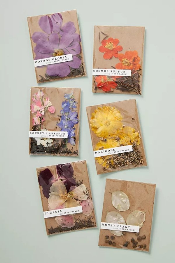 Blossom Seed Packet