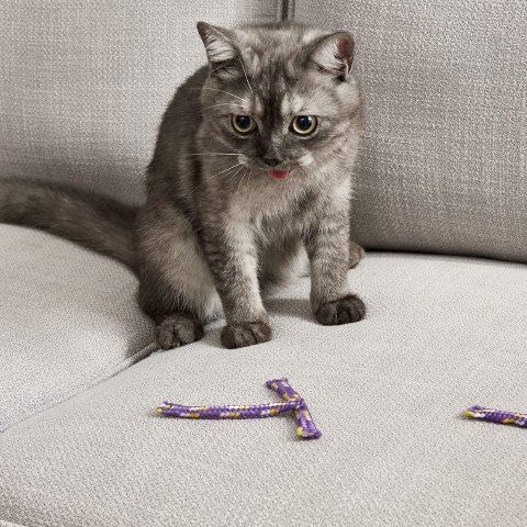 猫脚家具木彫骨董品宝箱貴重古道具