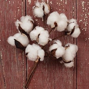 Cotton Boll Floral Spray Bunch (10")