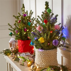Up to 50% OffProFlowers Christmas Deal of the Day & Sale