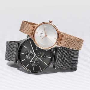 Skagen Watches Sale