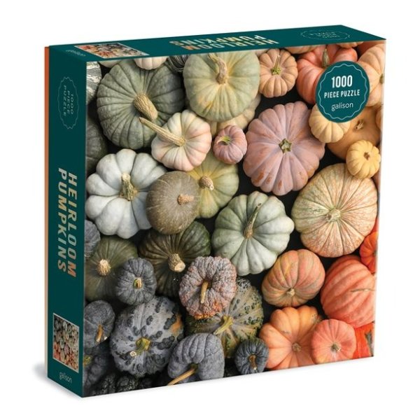 Heirloom Pumpkins 1000 Piece Puzzle in Square Box (Game)