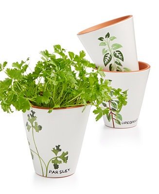 La Dolce Vita Herb Planters, Set of 3