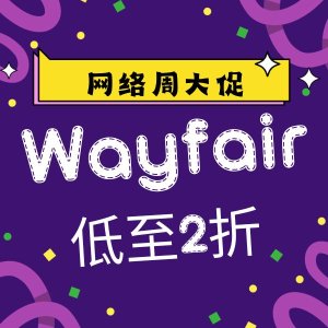 Wayfair 网络周大促开抢 大容量鞋架$25.9