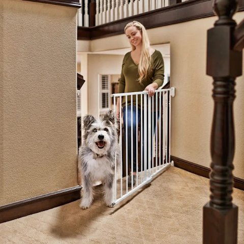 Petco dog outlet gates