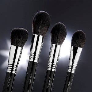 Sigma Selected Brush on Sale